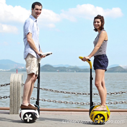 Mini 2-Wheel Electric Scooter